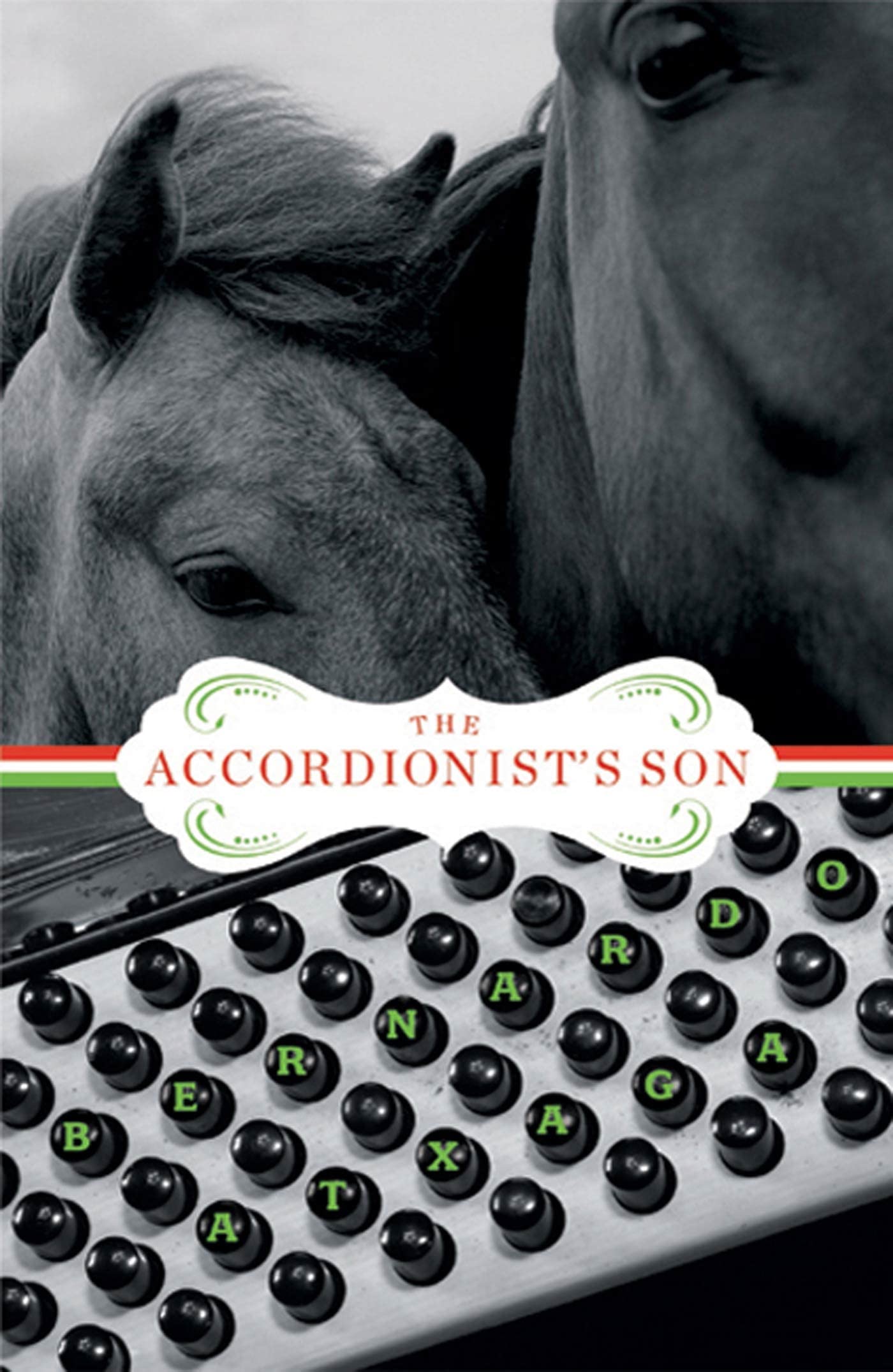 The Accordionist's Son: A Novel (Lannan Translation Selection (Graywolf Paperback))