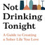 Not Drinking Tonight: A Guide to Creating a Sober Life You Love
