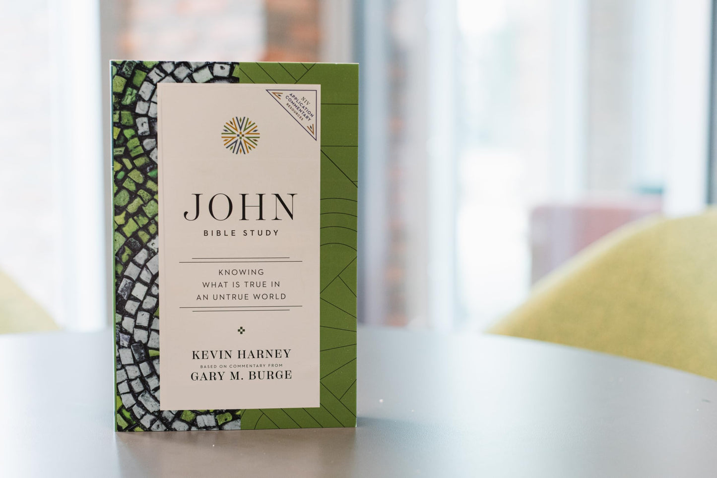 John Bible Study: Knowing What Is True in an Untrue World (NIV Application Commentary Resources)