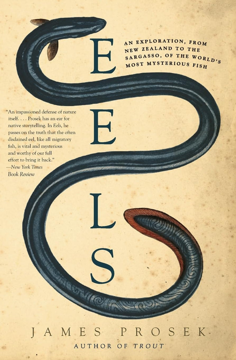 Eels: An Exploration, from New Zealand to the Sargasso, of the World's Most Mysterious Fish - A Natural History of Biology, Culture, and Conservation