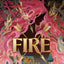 Graceling Realm 5 Books Set