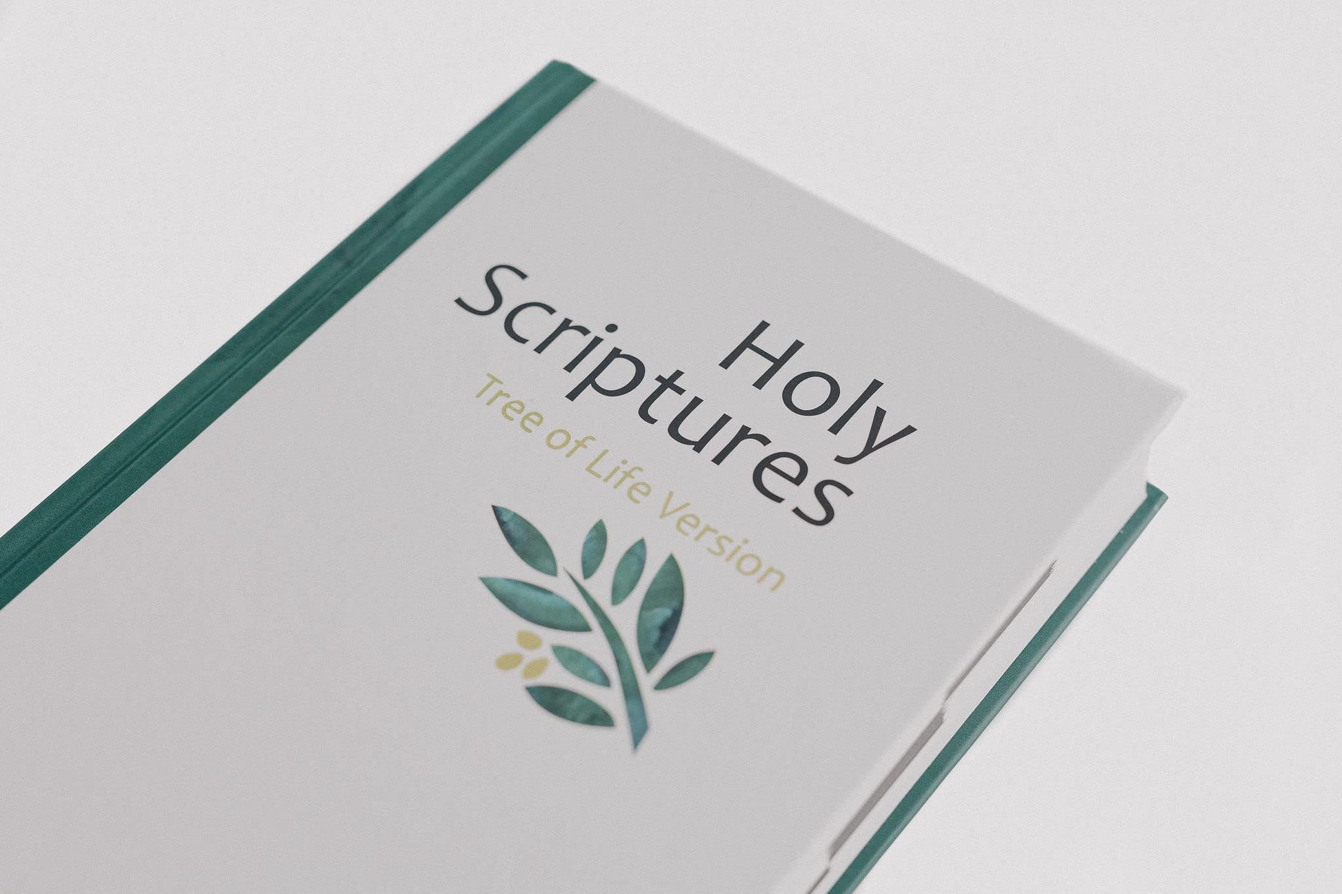 TLV Holy Scriptures: Thinline Edition (Hardback)