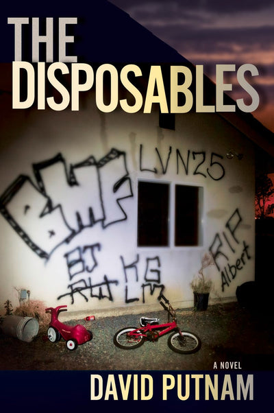 The Disposables (A Bruno Johnson Thriller)