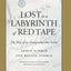 Lost in a Labyrinth of Red Tape: The Story of an Immigration that Failed (Jewish Lives)