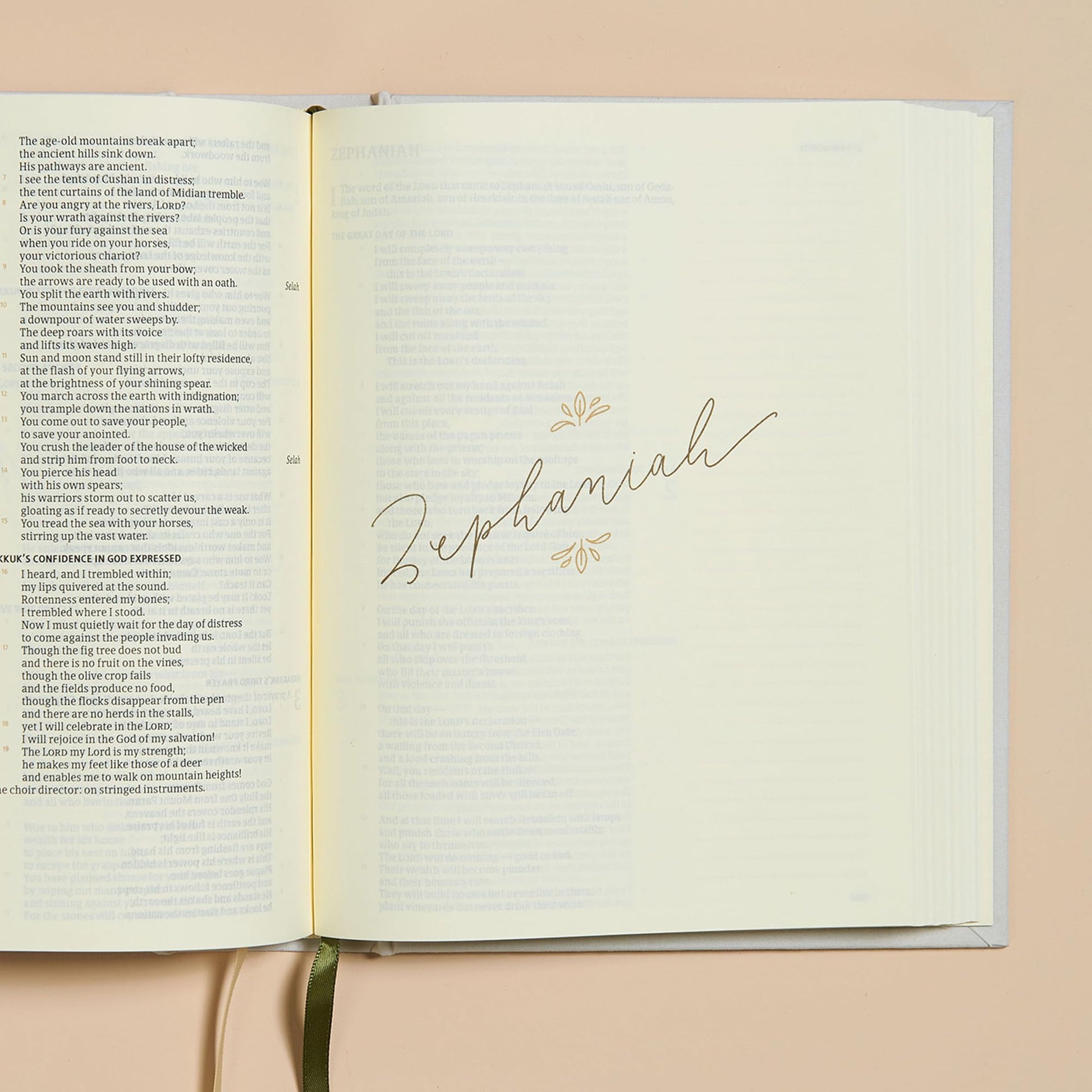 CSB Notetaking Bible for Women, Hosanna Revival Edition, Lemons Cloth Over Board, Black Letter, Single-Column, Journaling Space, Reading Plan, Easy-to-Read Bible Serif Type