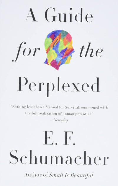 A Guide for the Perplexed (Harper Perennial Modern Thought)
