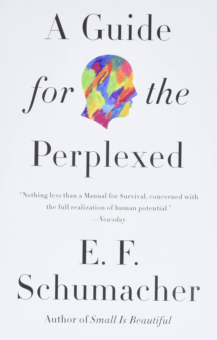 A Guide for the Perplexed (Harper Perennial Modern Thought)