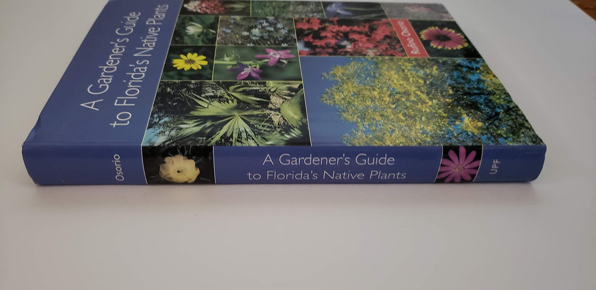 A Gardener's Guide to Florida's Native Plants