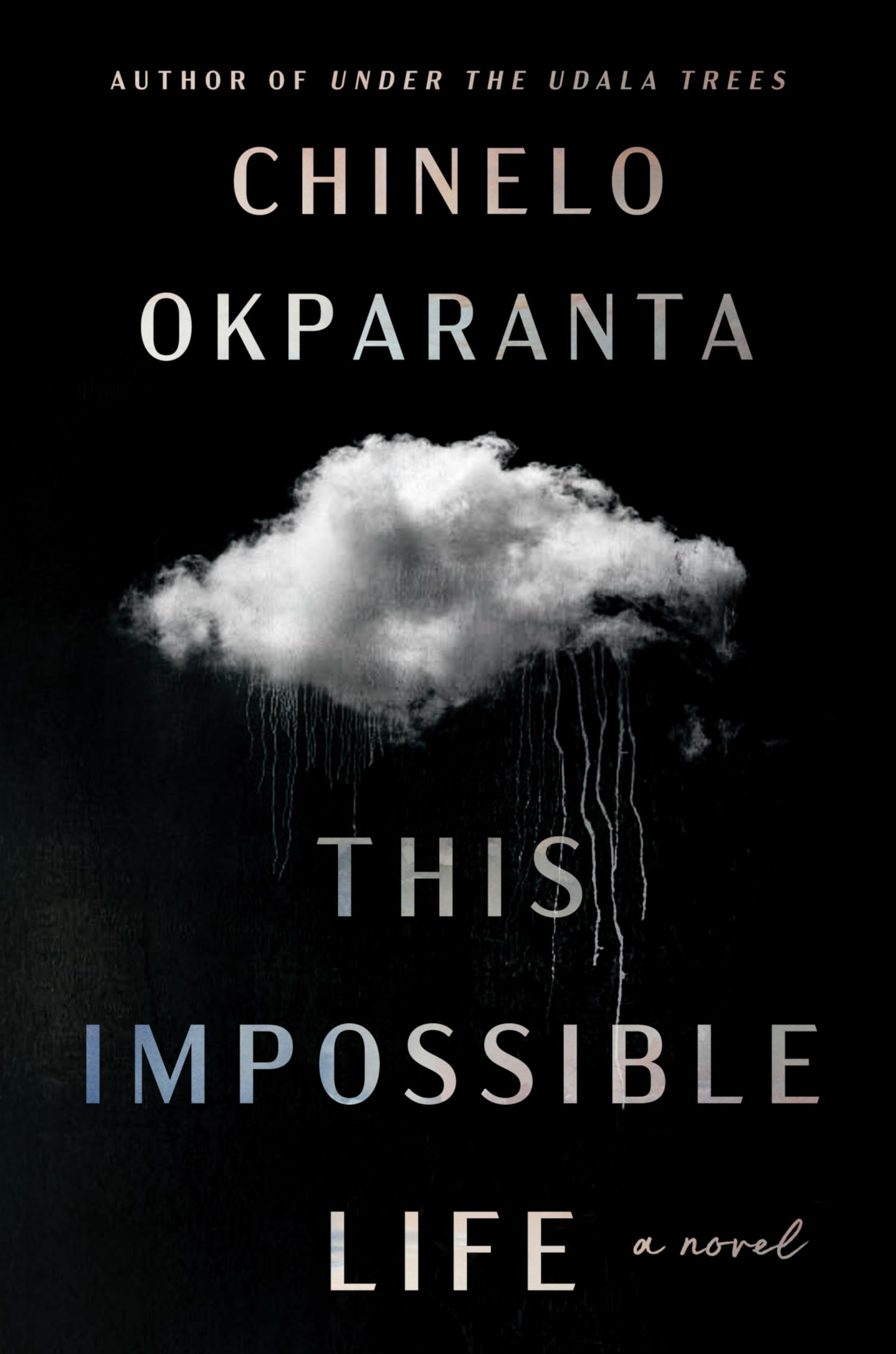 This Impossible Life: A Literary Saga of Two Siblings Bound by Love Across Continents and Decades