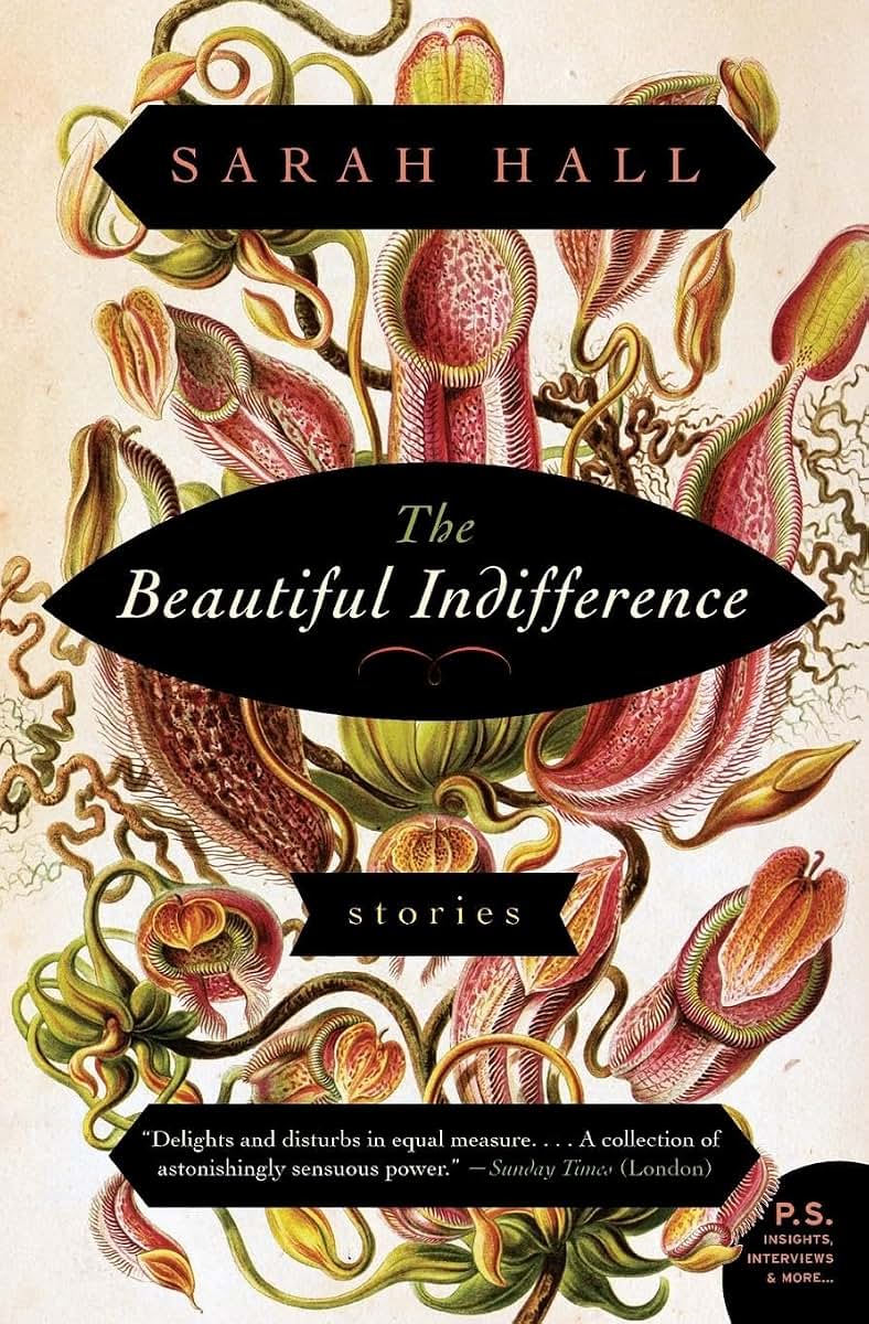 The Beautiful Indifference: Stories (P.S.)