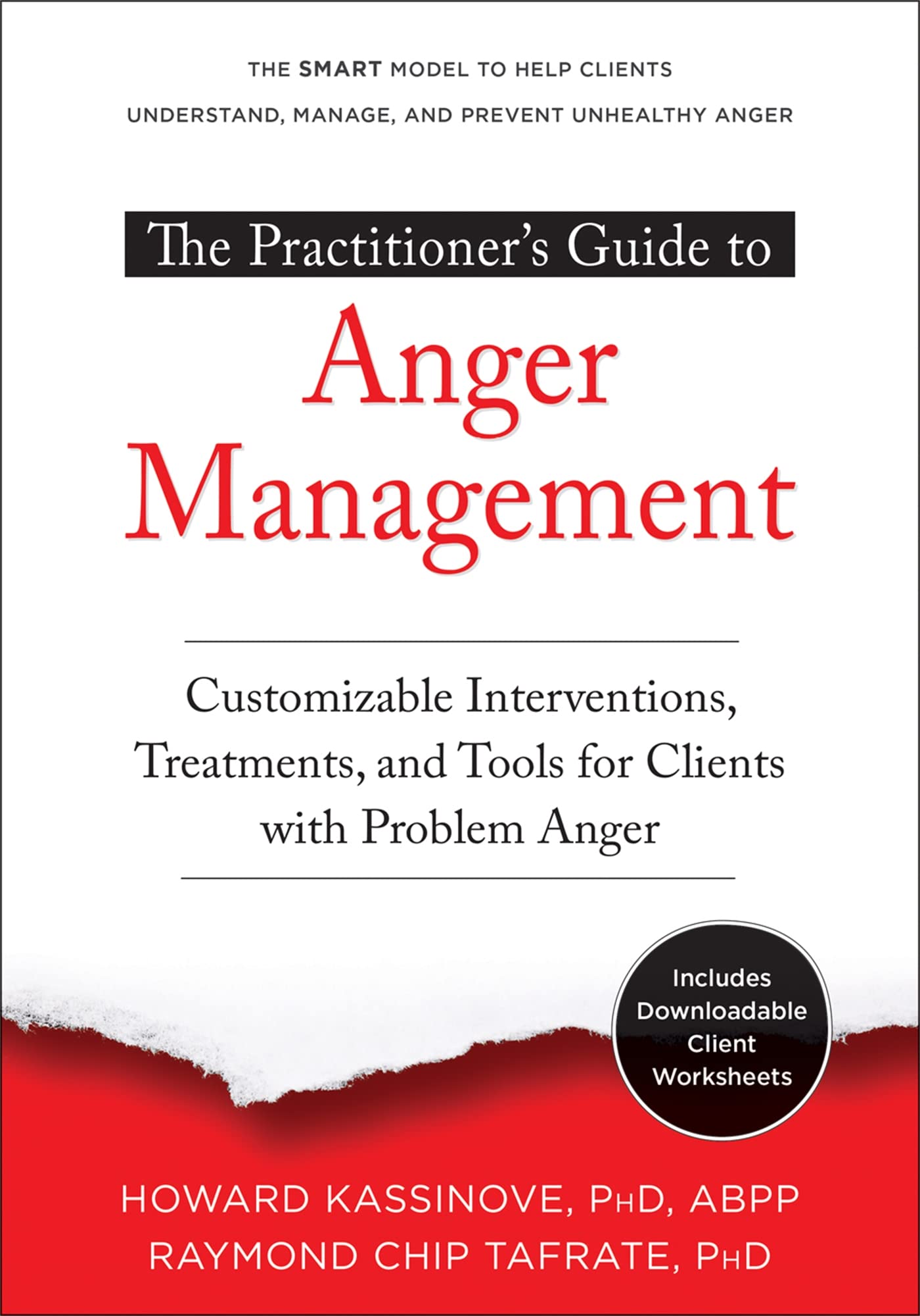 The Practitioners Guide to Anger Management: Customizable In