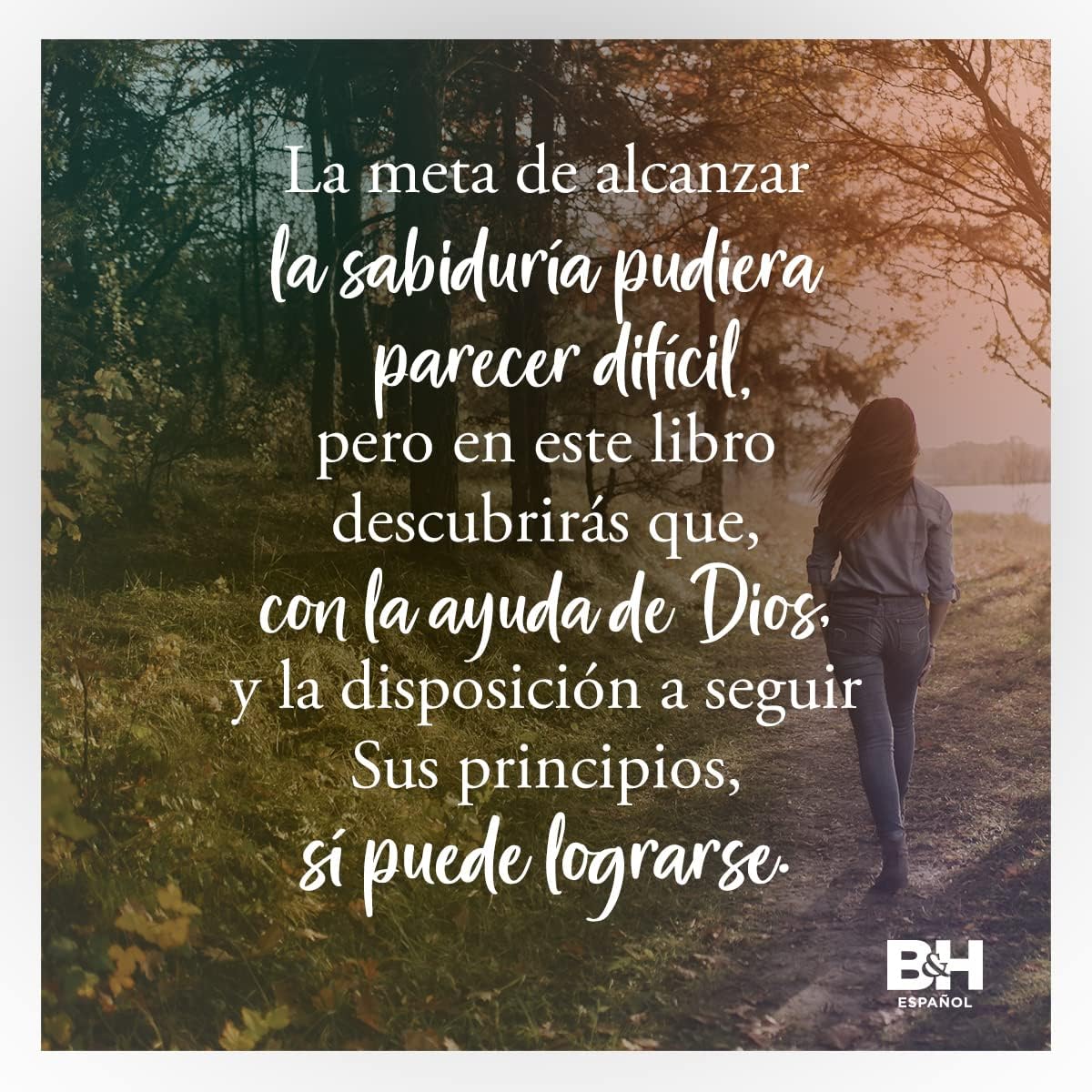 Una mujer sabia: Principios para vivir como Dios lo diseó (Spanish Edition)