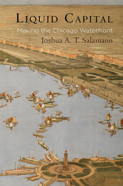 Liquid Capital: Making the Chicago Waterfront (American Business, Politics, and Society)