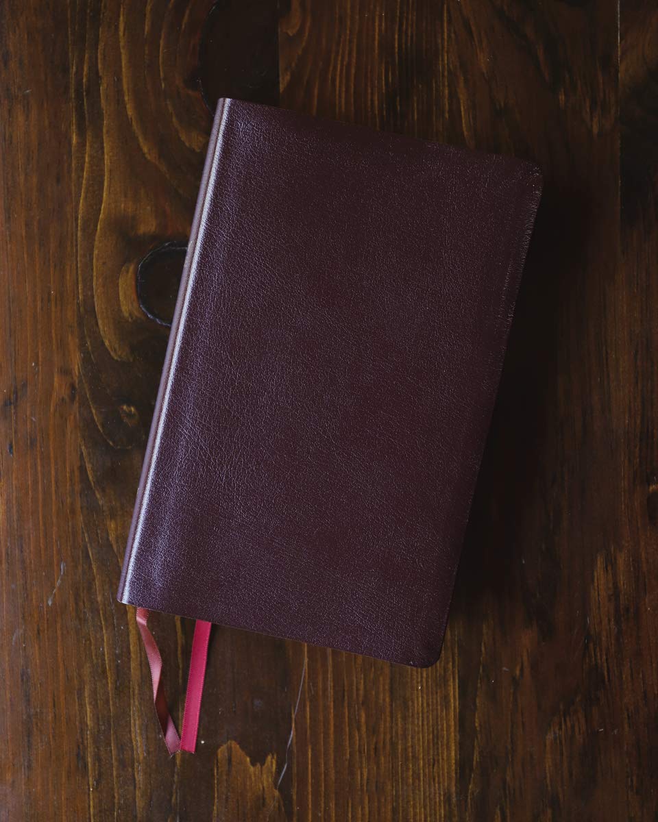 NIV, Thinline Reference Bible (Deep Study at a Portable Size)