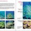 Reef Coral Identification: Florida, Caribbean, Bahamas 3rd Edition (Reef Set (New World))