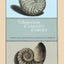 The Ambonese Curiosity Cabinet