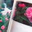 The Art of Gardening With Roses