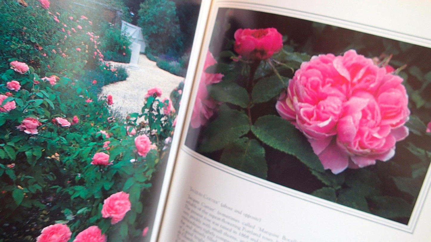 The Art of Gardening With Roses