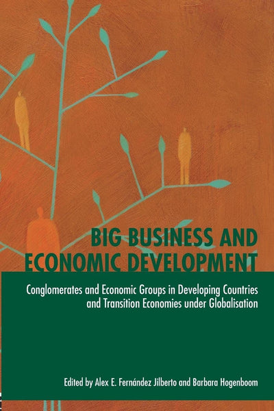 Big Business and Economic Development: Conglomerates and Economic Groups in Developing Countries and Transition Economies under Globalisation ... International Business and the World Economy)