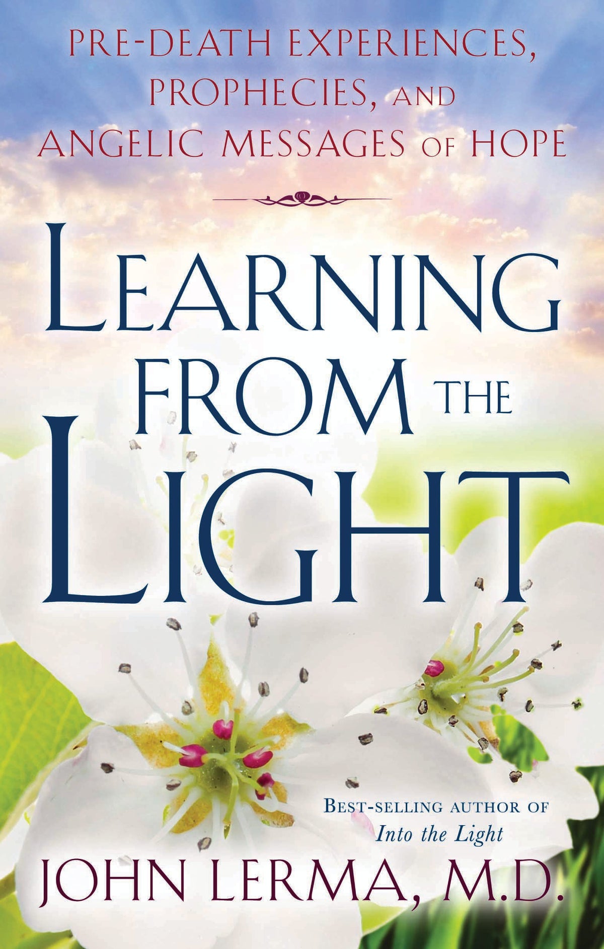 Learning From the Light: Pre-death Experiences, Prophecies, and Angelic Messages of Hope