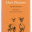 The Deer Pasture