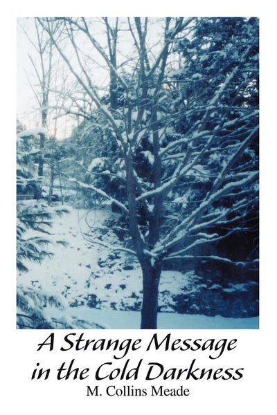 A Strange Message in the Cold Darkness: A novel based on a true story