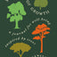 Seasons of Growth: A Journal for Well-Being Inspired by Trees
