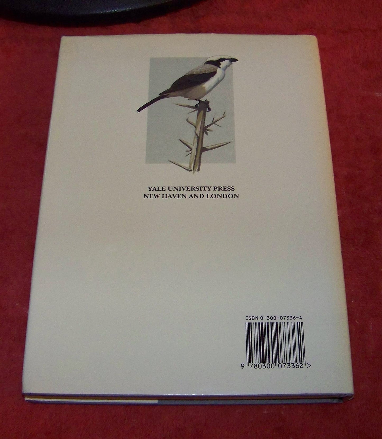 Shrikes: A Guide to the Shrikes of the World