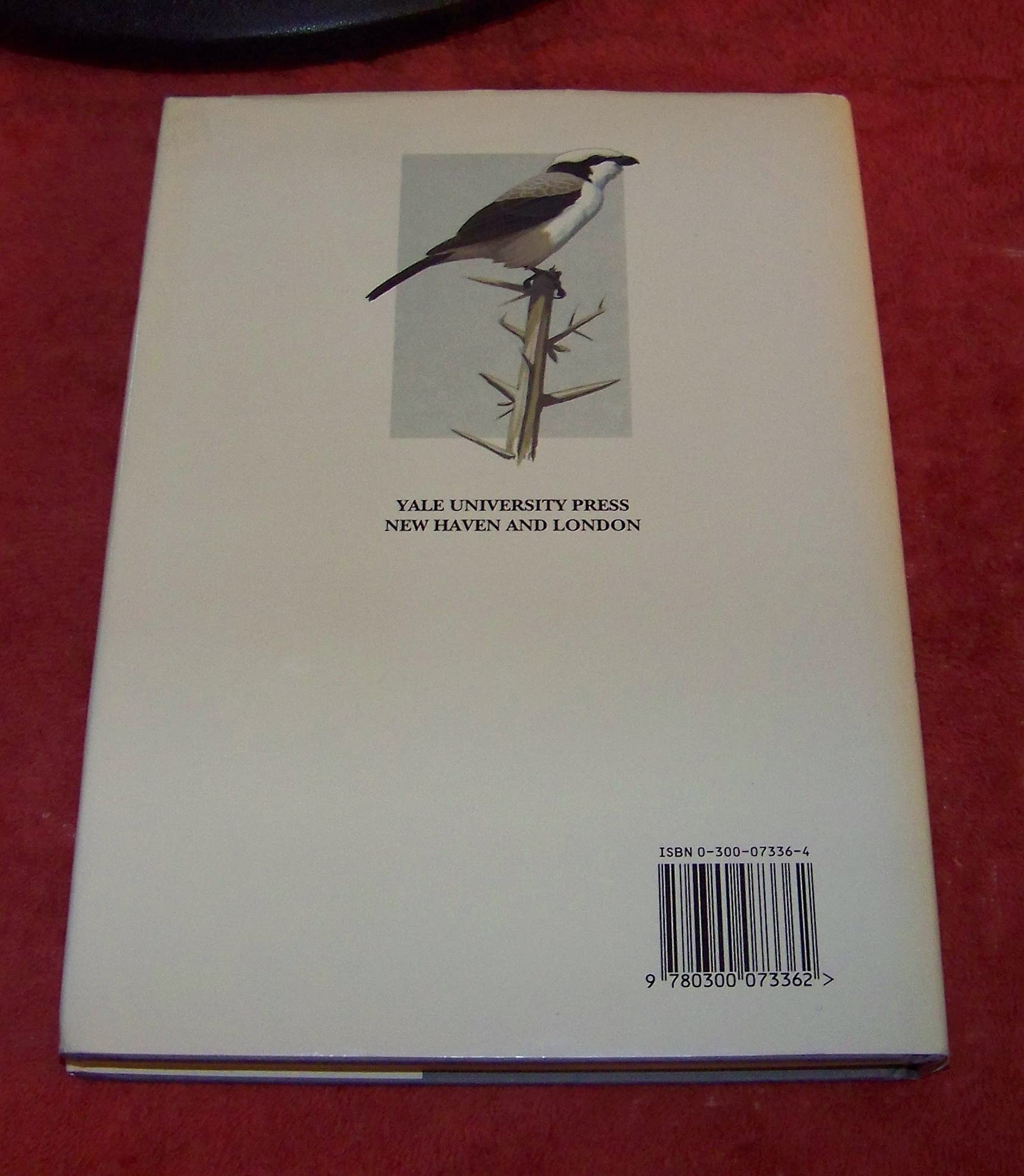 Shrikes: A Guide to the Shrikes of the World