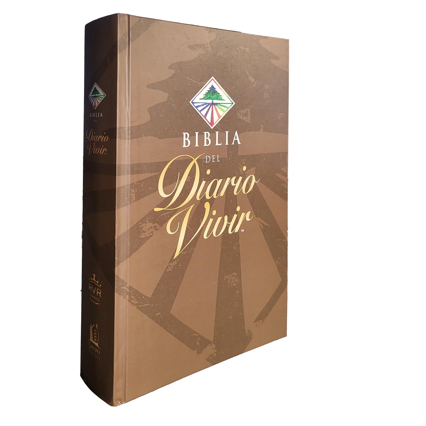 Biblia Del Diario Vivir