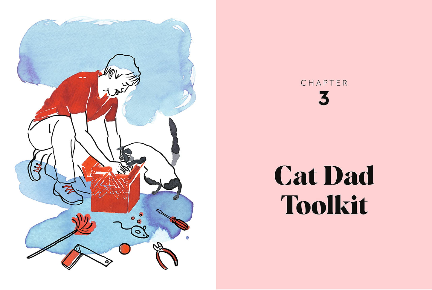 Cat Dads: Your Guide to Feline Fatherhood