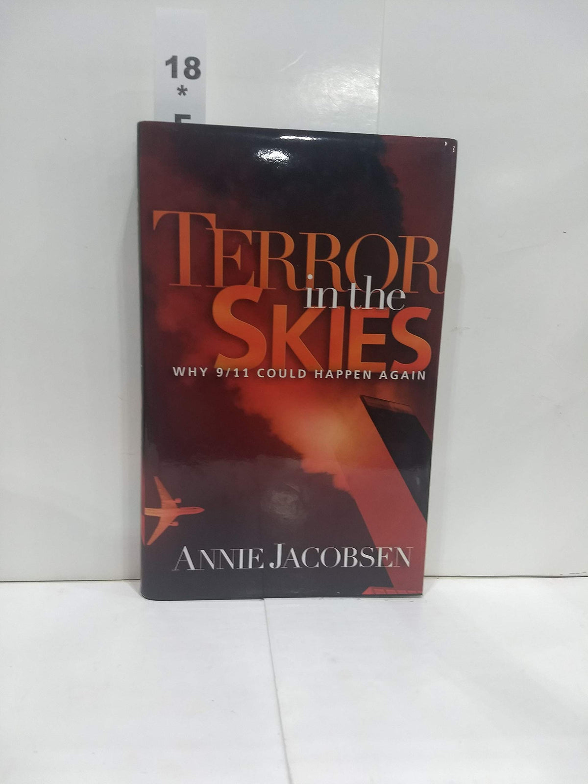Terror in the Skies: Why 9/11 Could Happen Again