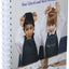 The Phonics Handbook: In Print Letters (Jolly Phonics)
