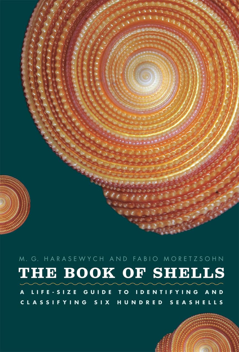 The Book of Shells: A Life-Size Guide to Identifying and Cla