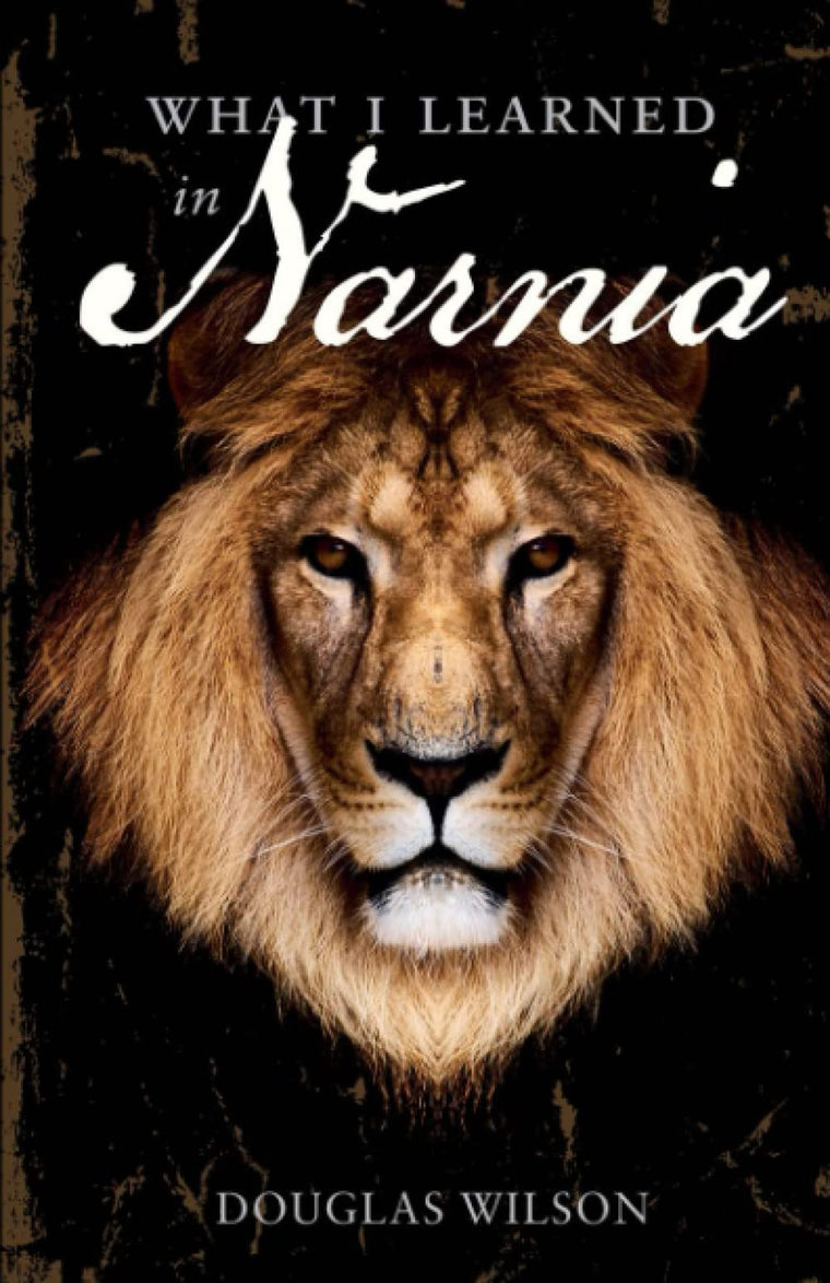 What I Learned in Narnia