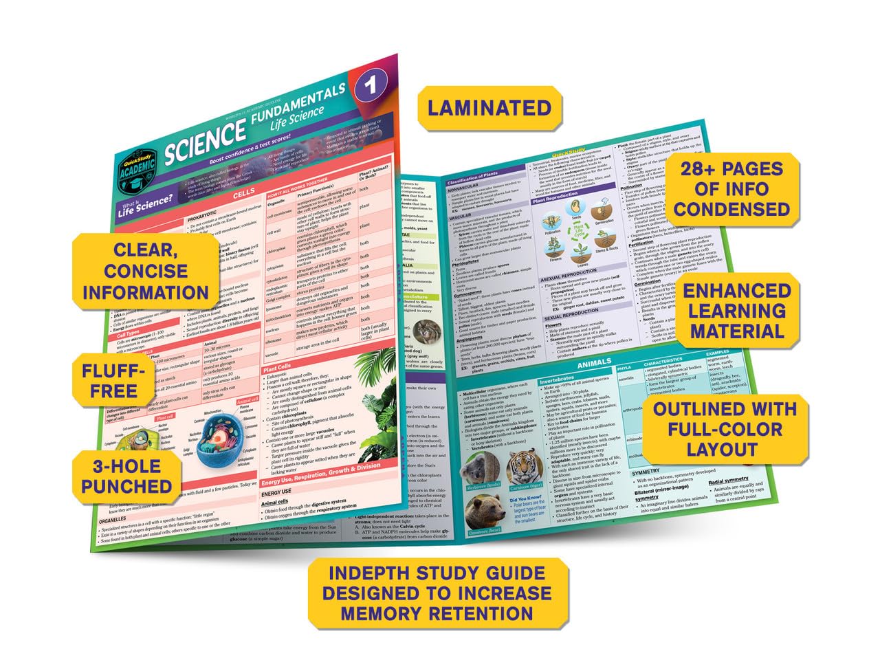 Science Fundamentals 1 - Life Science - Cells, Plants & Animals: QuickStudy Laminated Reference & Study Guide
