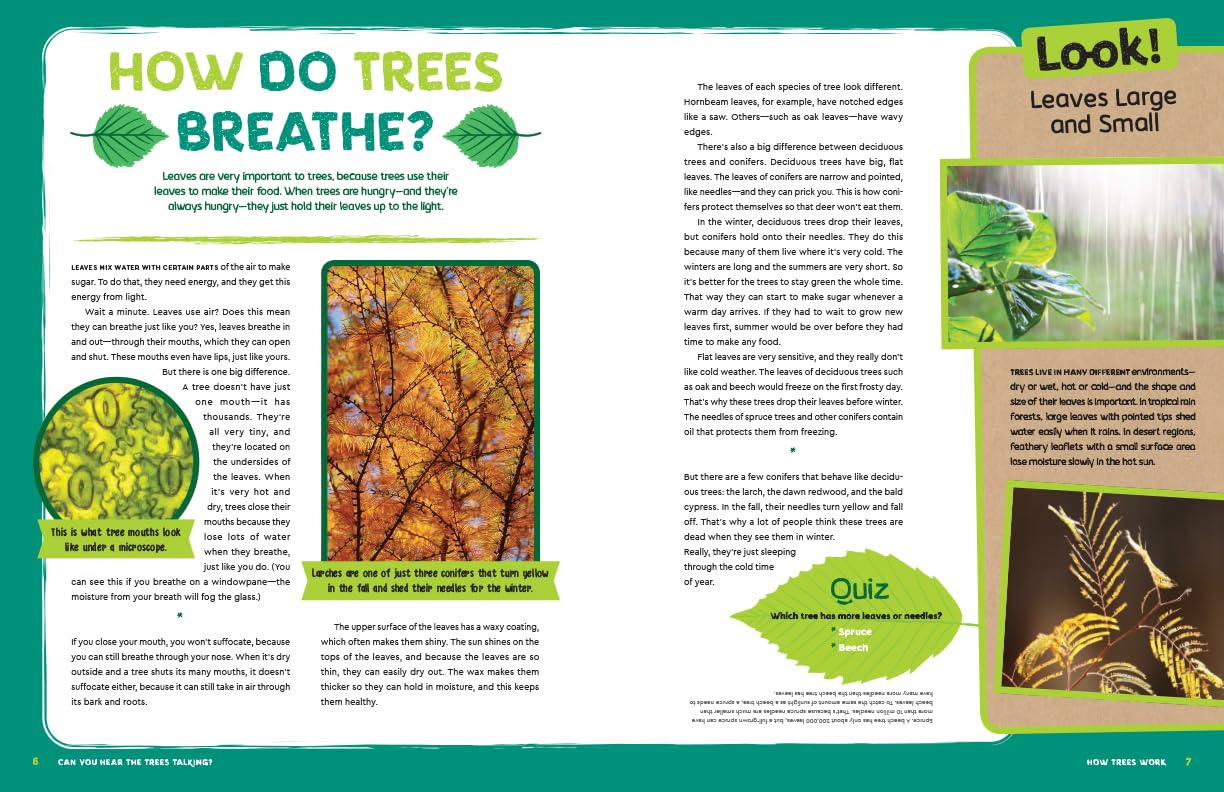 Can You Hear The Trees Talking?: Discovering the Hidden Life of the Forest