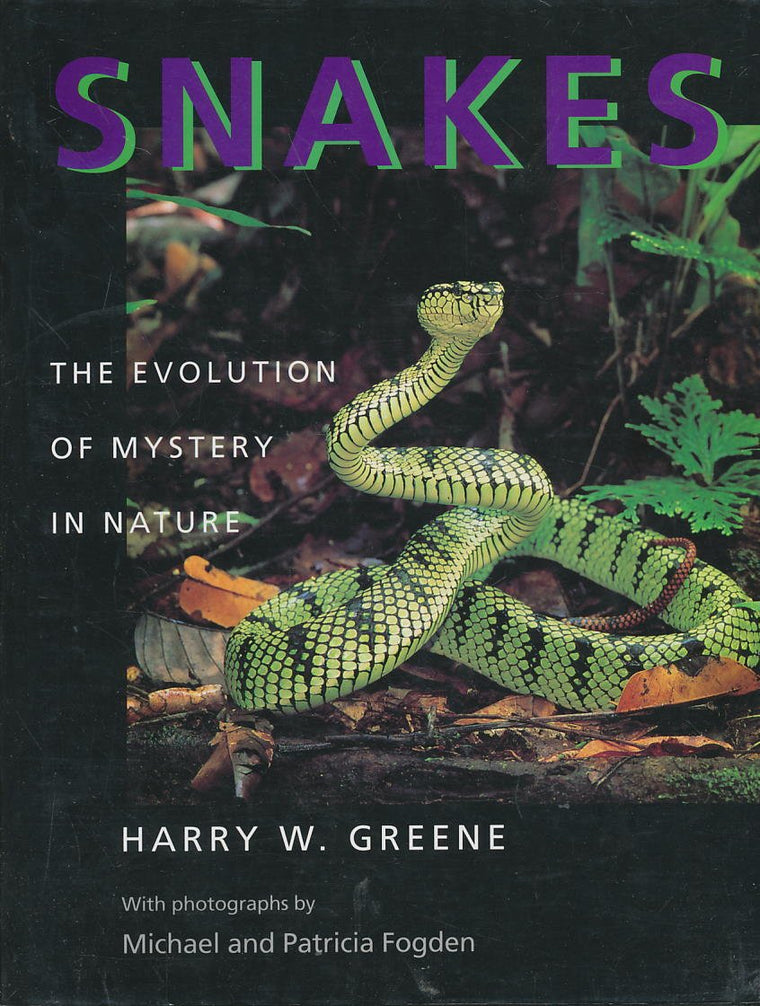 Snakes: The Evolution of Mystery in Nature (Director's Circl