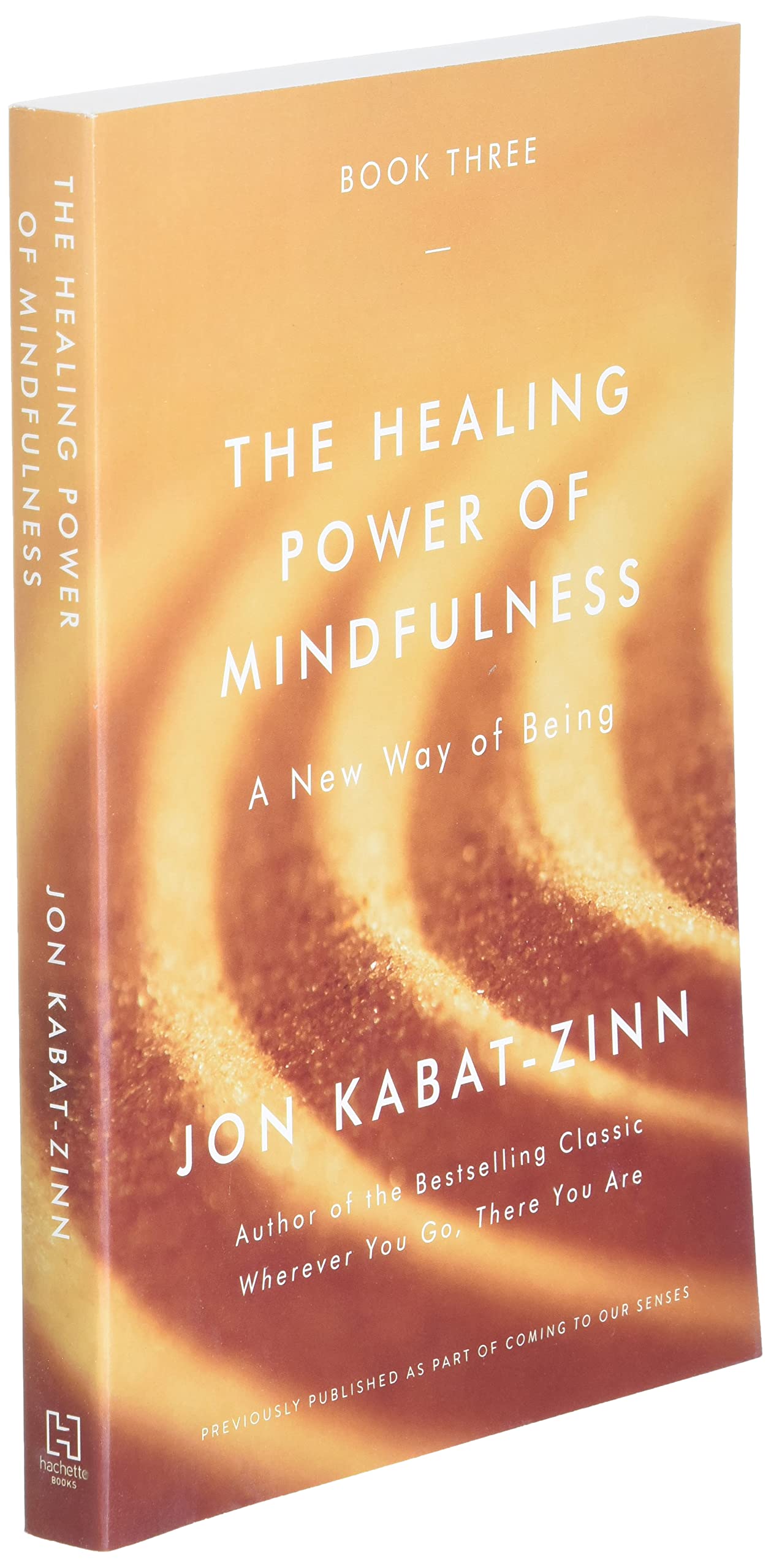 The Healing Power of Mindfulness: A New Way of Being