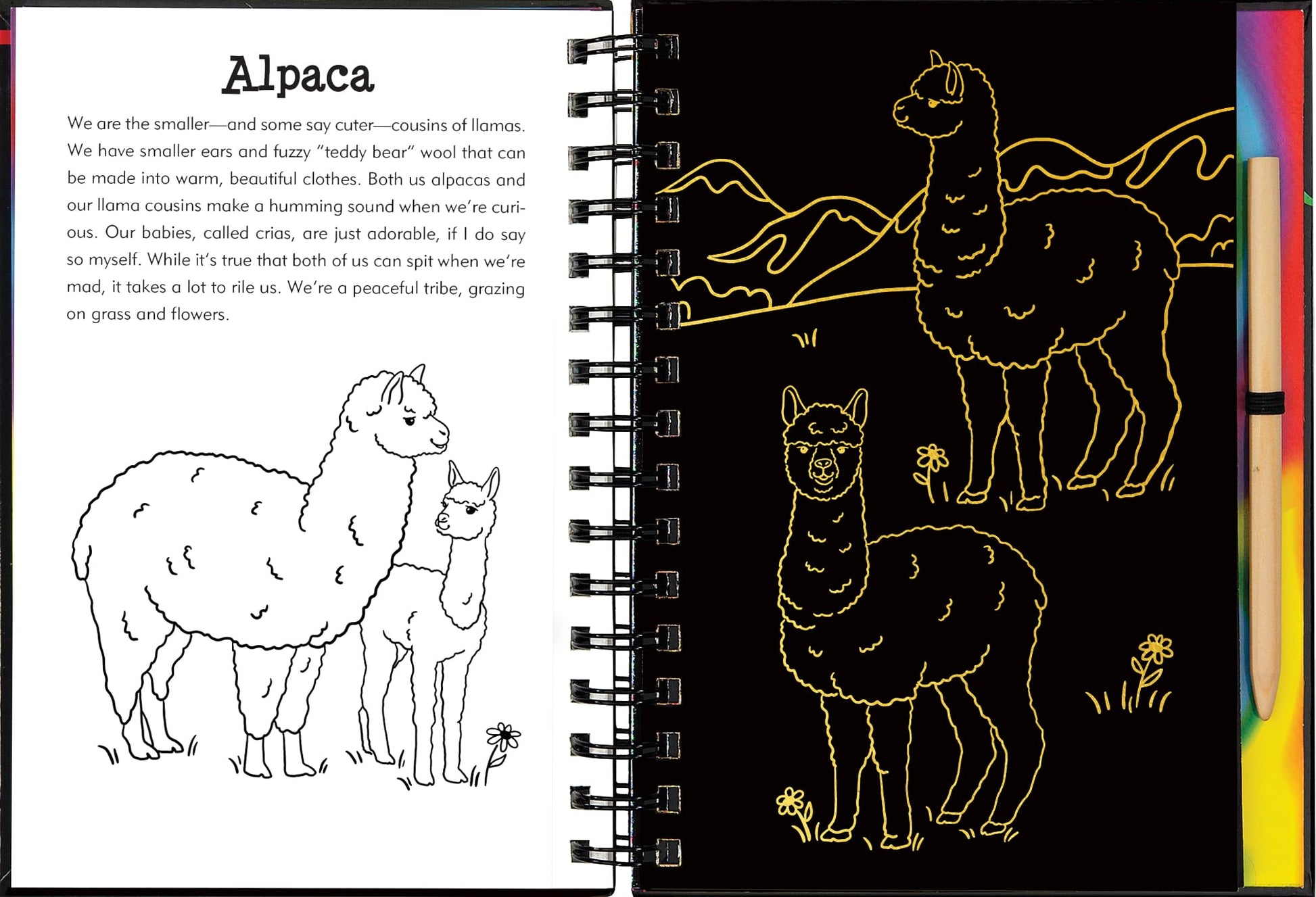Llamas & Friends Scratch & Sketch (Trace Along)