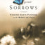 Dont Waste Your Sorrows: Finding God's Purpose in the Midst
