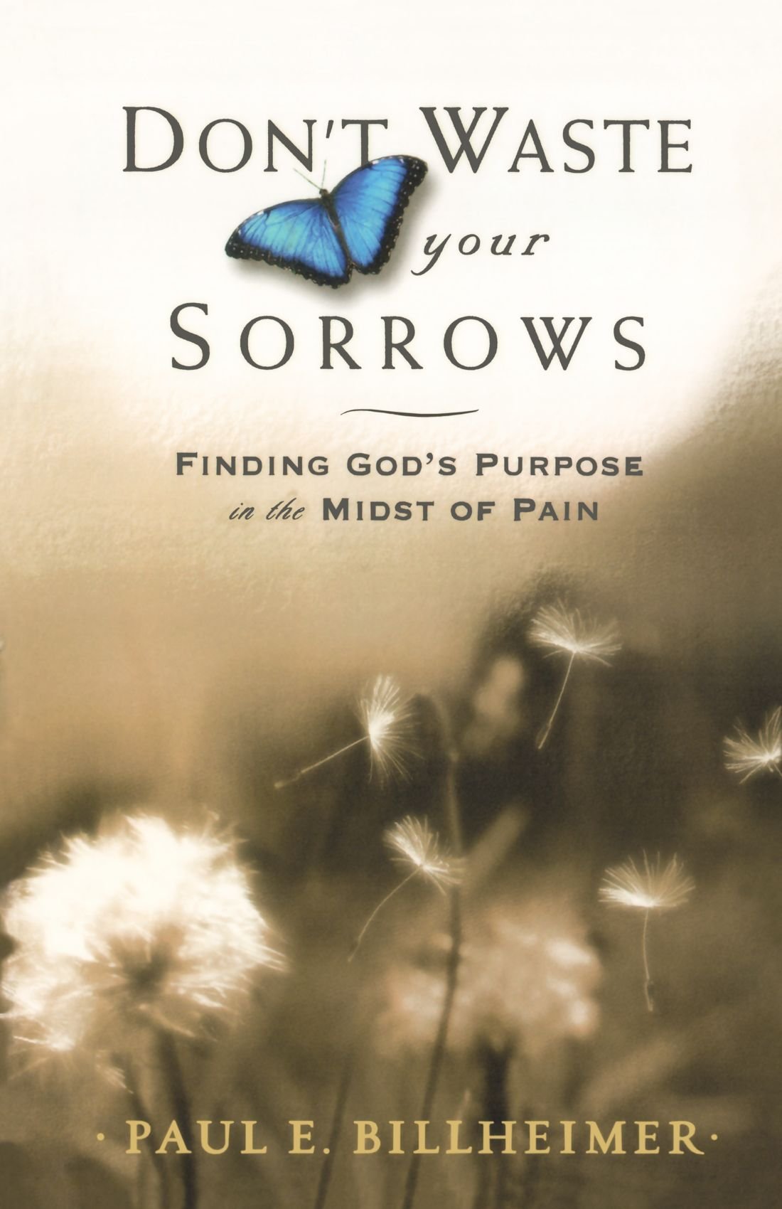 Dont Waste Your Sorrows: Finding God's Purpose in the Midst
