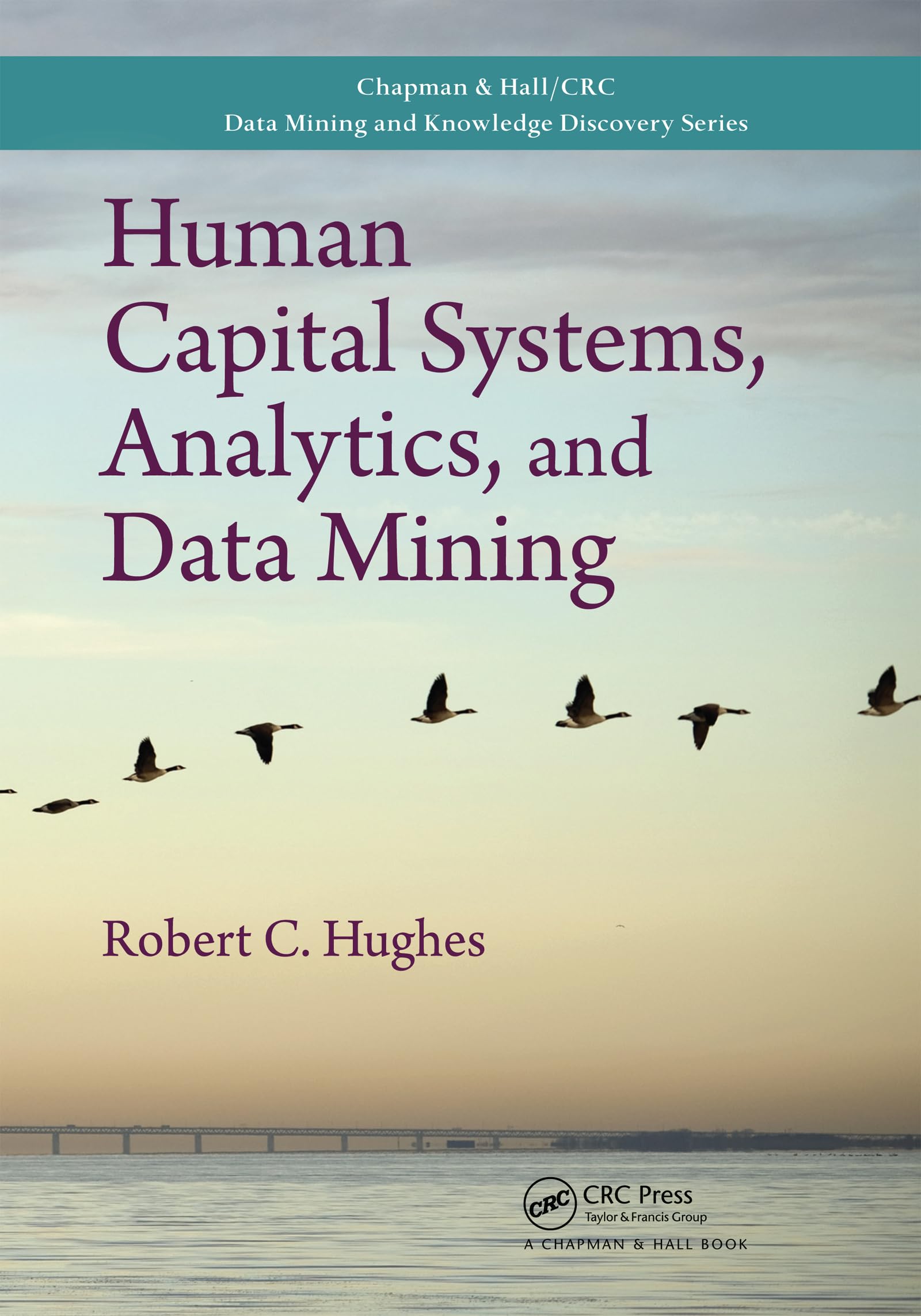 Human Capital Systems, Analytics, and Data Mining (Chapman & Hall/CRC Data Mining and Knowledge Discovery Series)