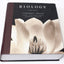 Biology, 8th Edition