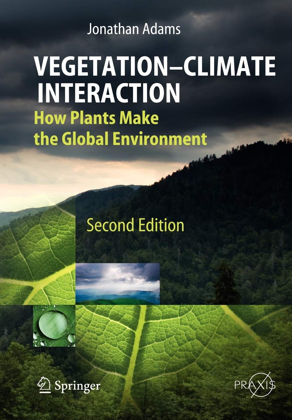 Vegetation-Climate Interaction: How Plants Make the Global Environment (Environmental Sciences)