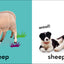Baby Touch and Feel: Farm