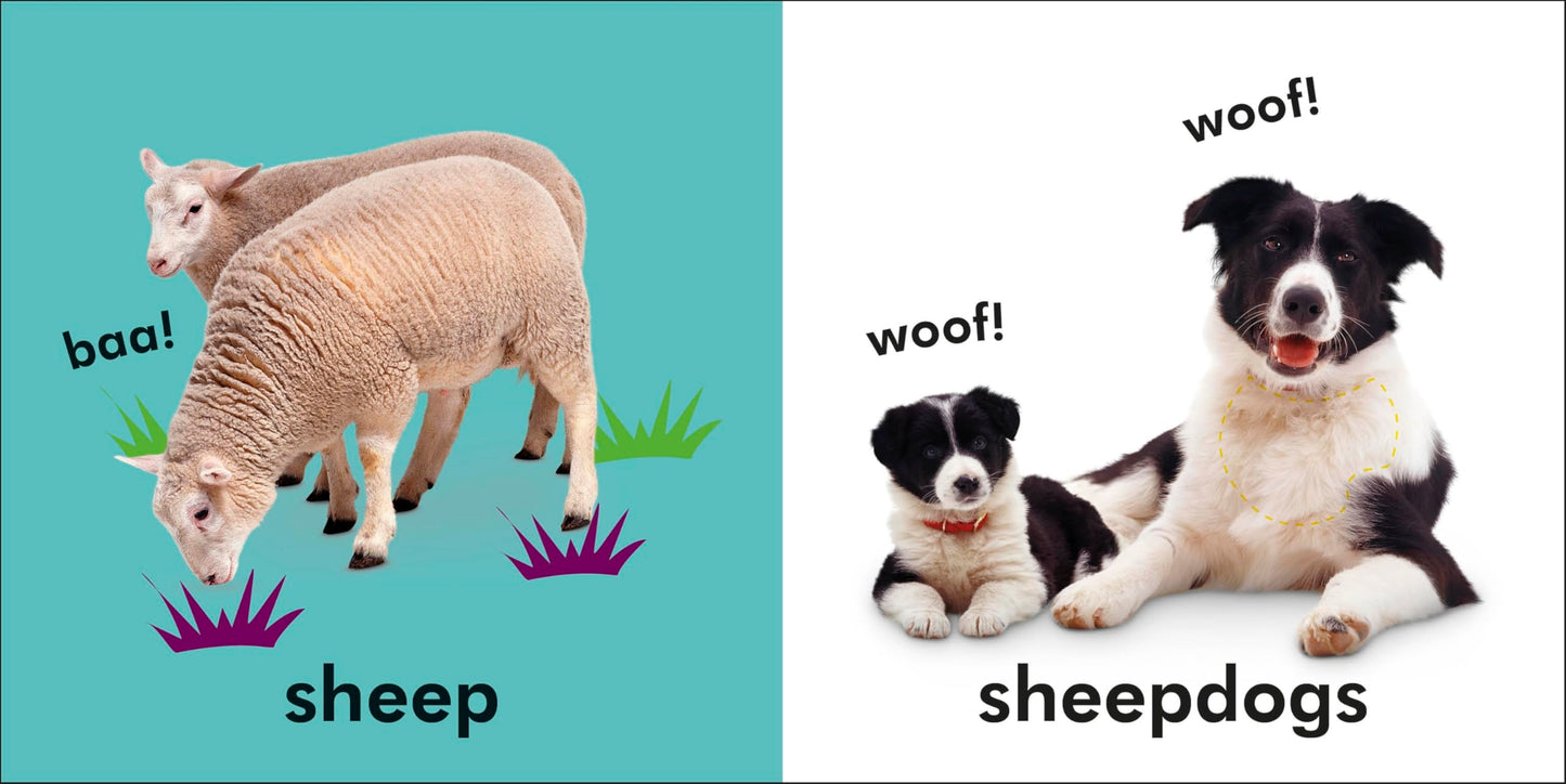 Baby Touch and Feel: Farm