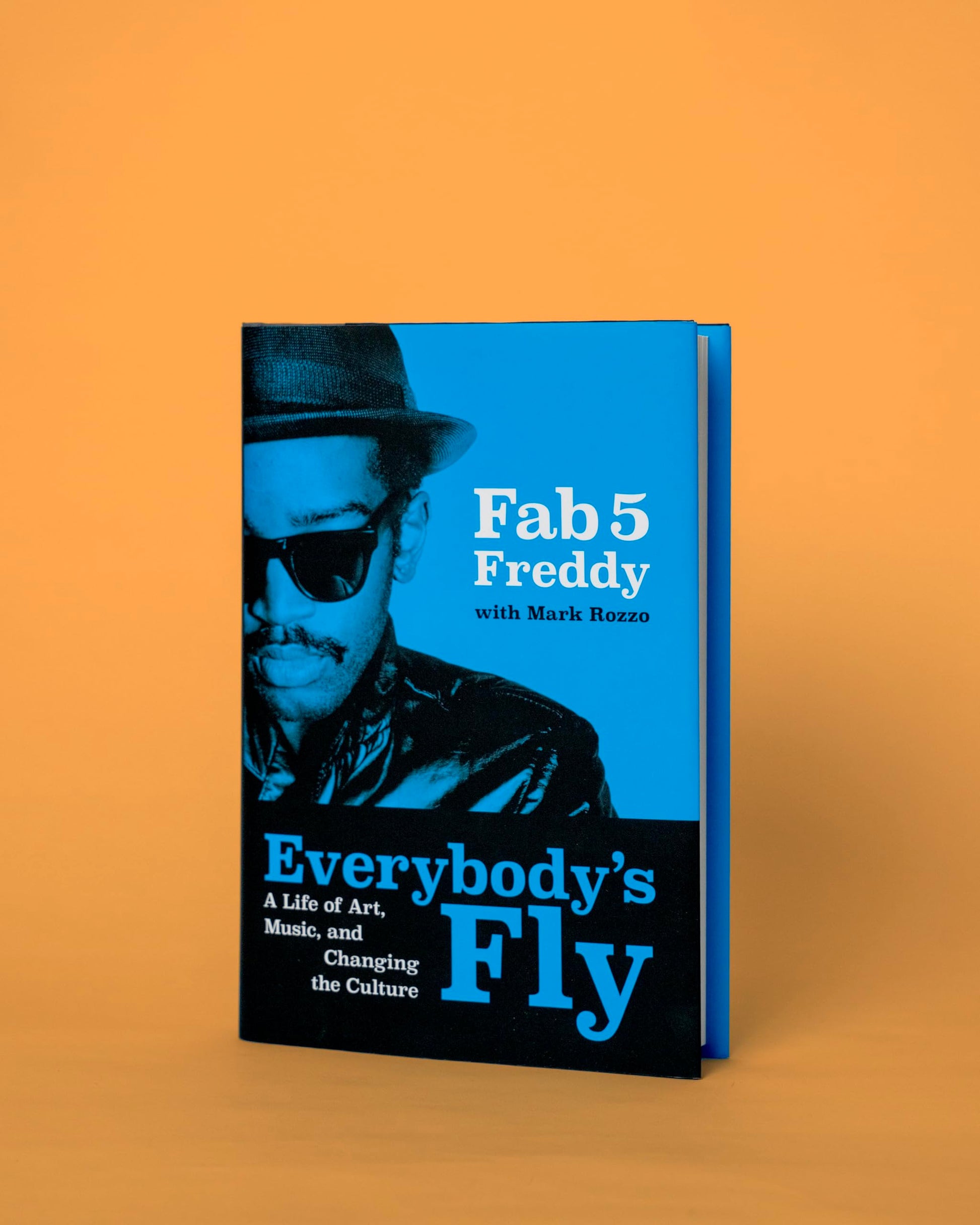 Everybody's Fly: A Life of Art, Music, and Changing the Culture