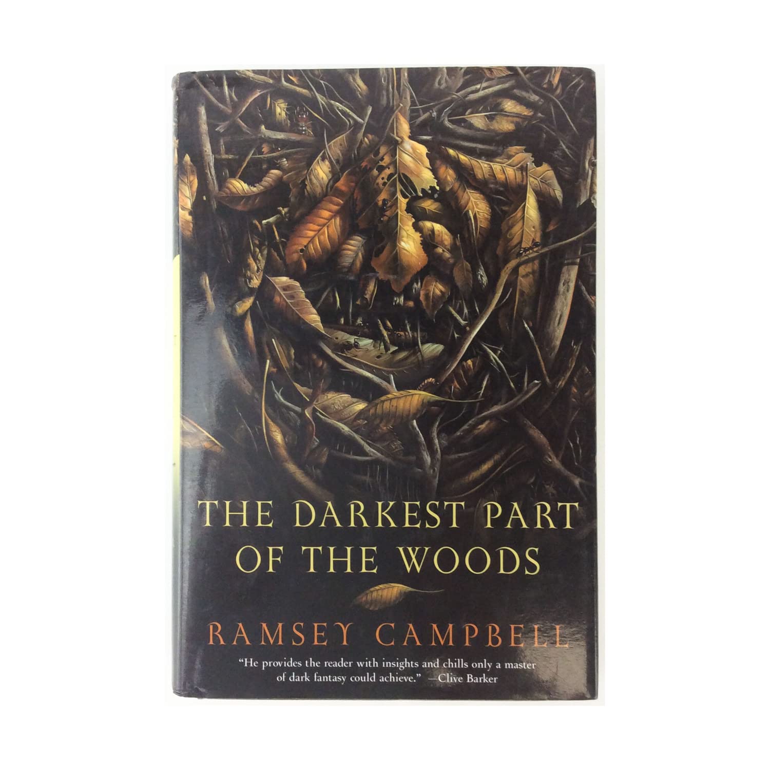 The Darkest Part of the Woods