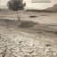 Drylands (The Natural Environment: Problems and Management)